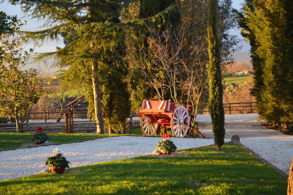 Agriturismo La Collina Питиляно Стая снимка