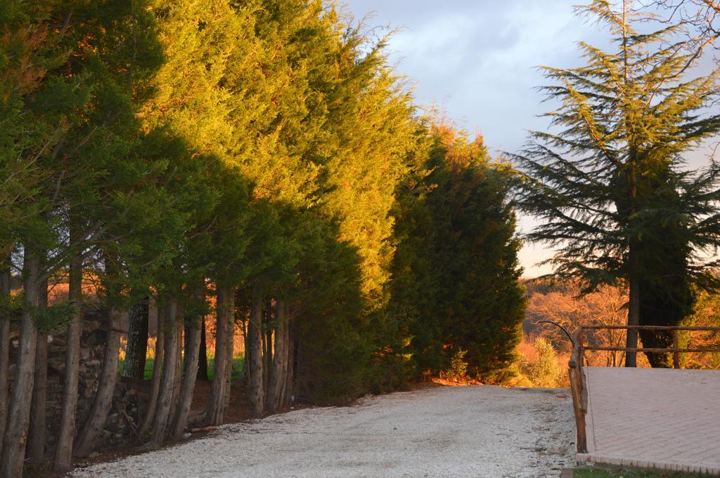 Agriturismo La Collina Питиляно Екстериор снимка