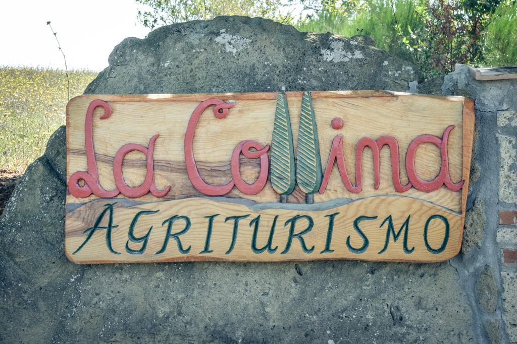 Agriturismo La Collina Питиляно Екстериор снимка